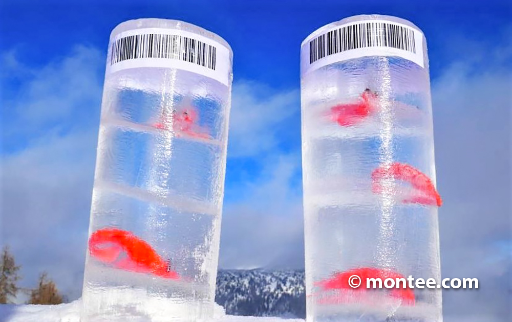 Escape the Snow - Montee Online Team Game - Ice Cores