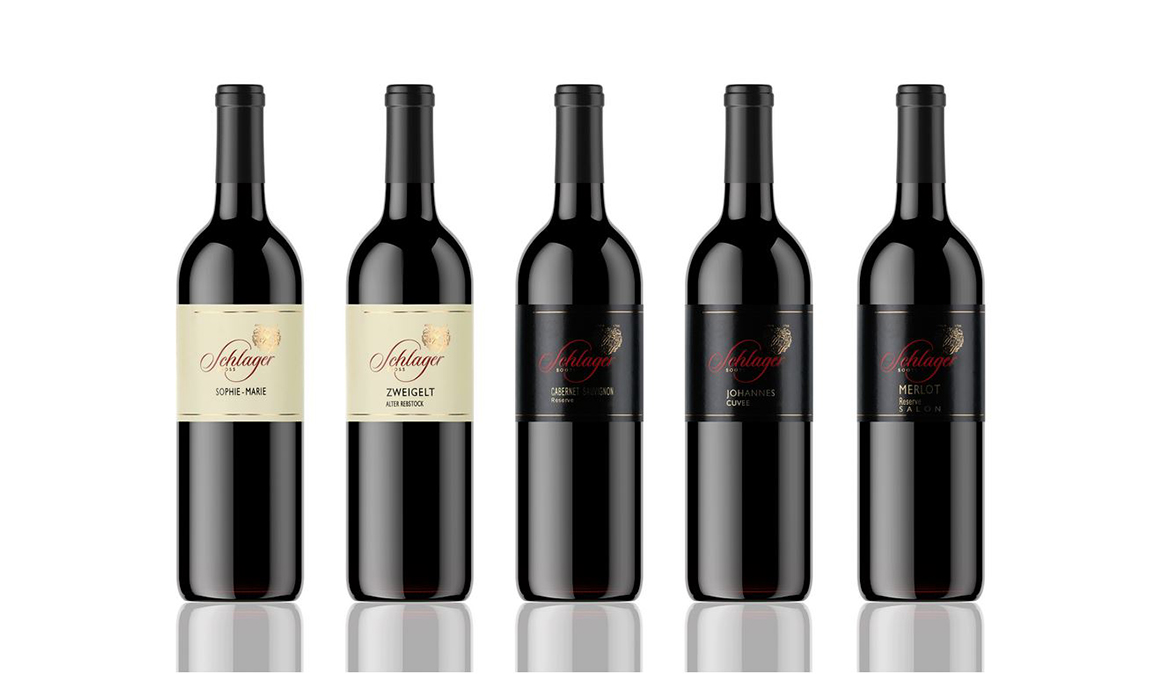 Online wine tasting event - award-winning quality red wines Thermenregion Austria