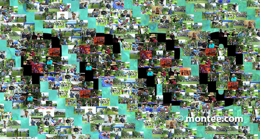 PPRO Parquete Photo Mosaic Pixel Image Teambonding