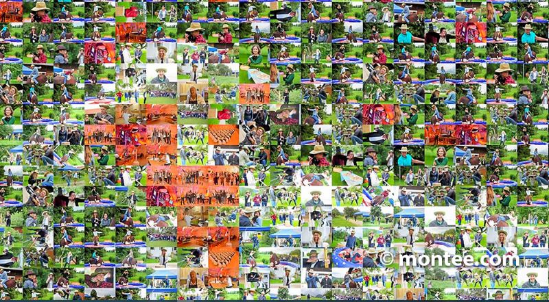 Rodeo Firmen Symbolik Pixelbild Teambuilding