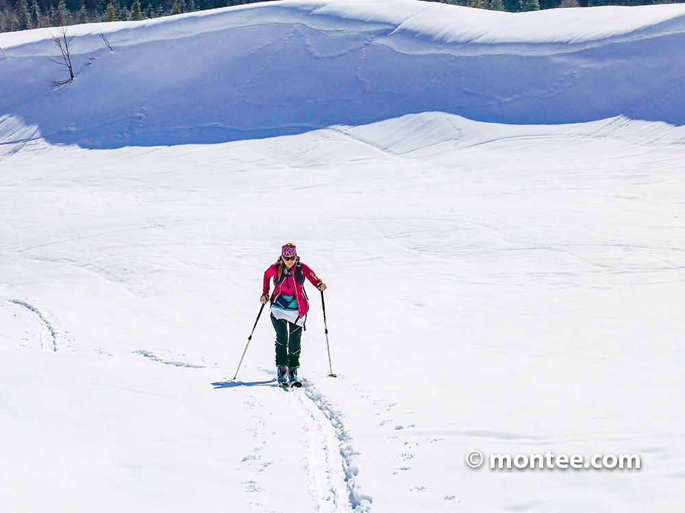 Skitourgeher
