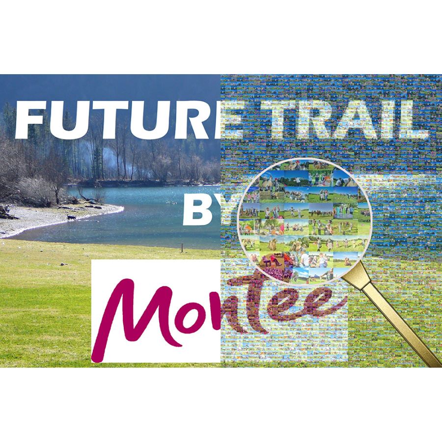 Future Trail Montée Foto Mosaik Bild Pixelbild online Teambuilding