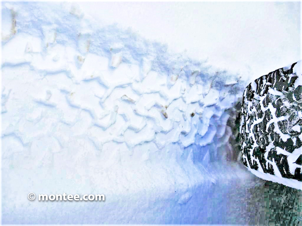 Escape the Snow - Montee Online Teambonding event - tire marks