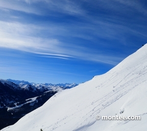 Avalanche safety training