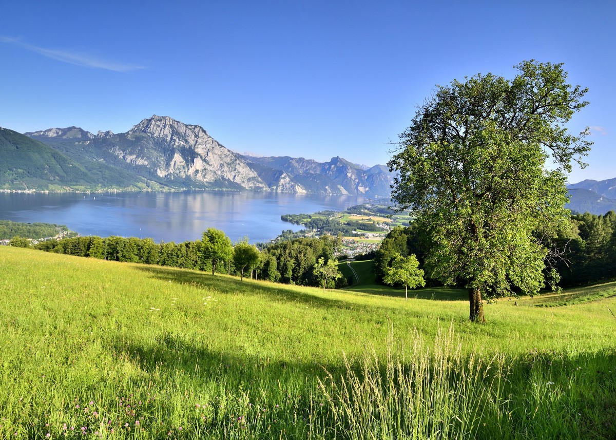 Attersee und Traunsee – türkis blaues Wasser lädt zu spannenden Teamtrainings ein