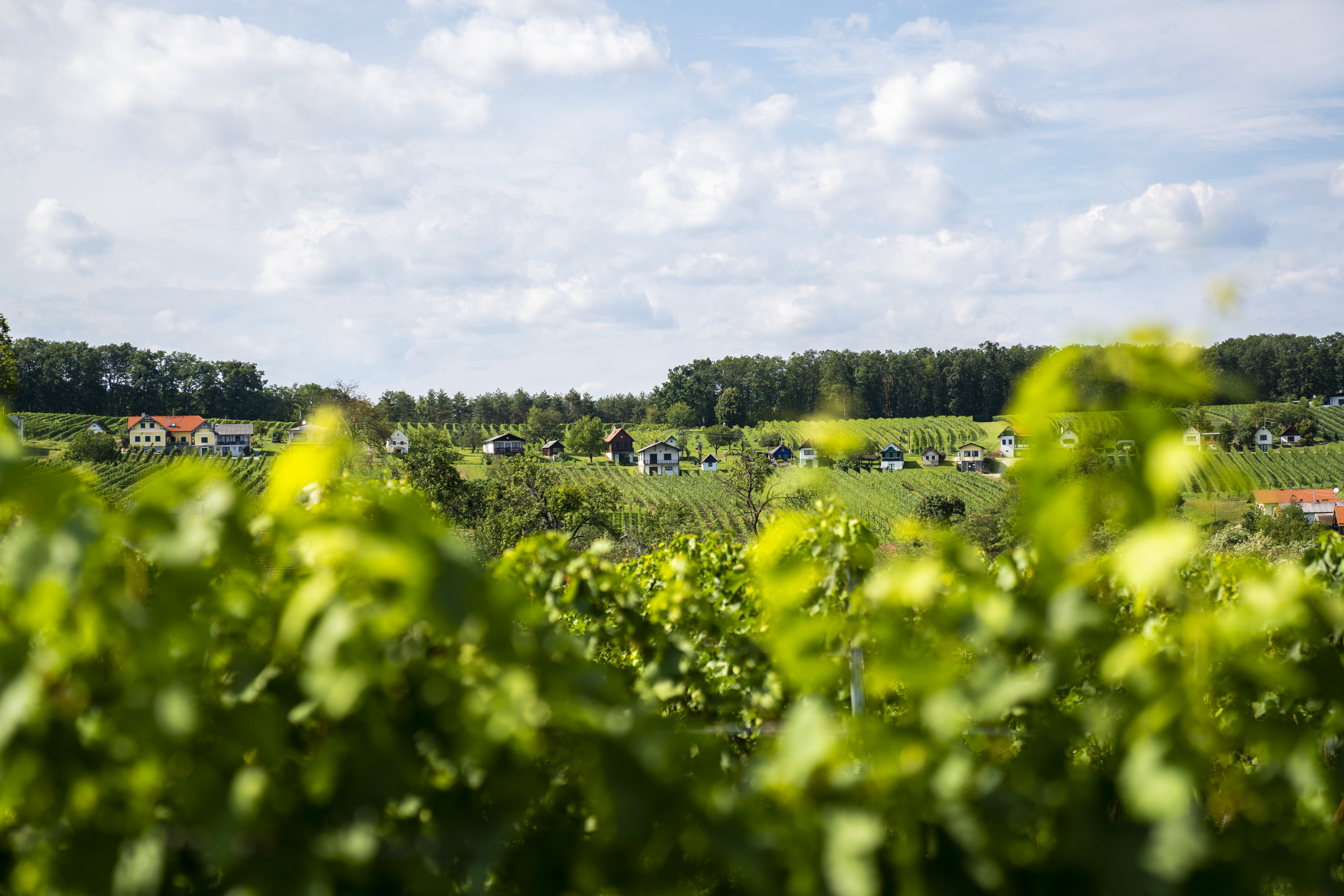 Burgenland Header Teamevent