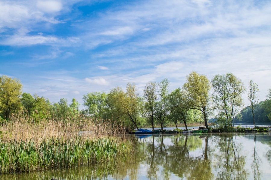 Europareservat Unterer Inn und Seelentium – ruhiger Fluss für Ihre Zukunftsworkshops