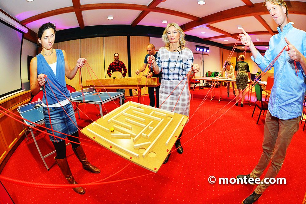 Ludo Dynamic Games Teambewerbe 