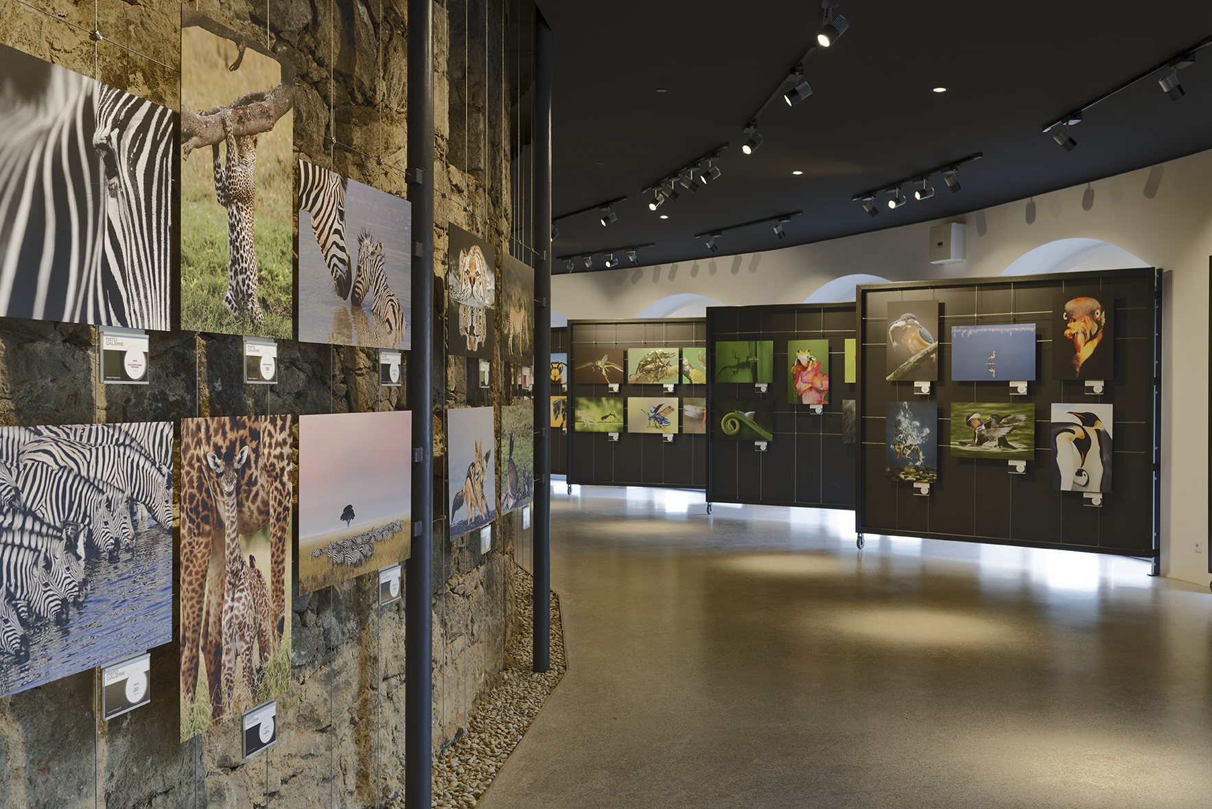  Pöstlingberg Fotogalerie Linz Mitarbeiterausflug Montee