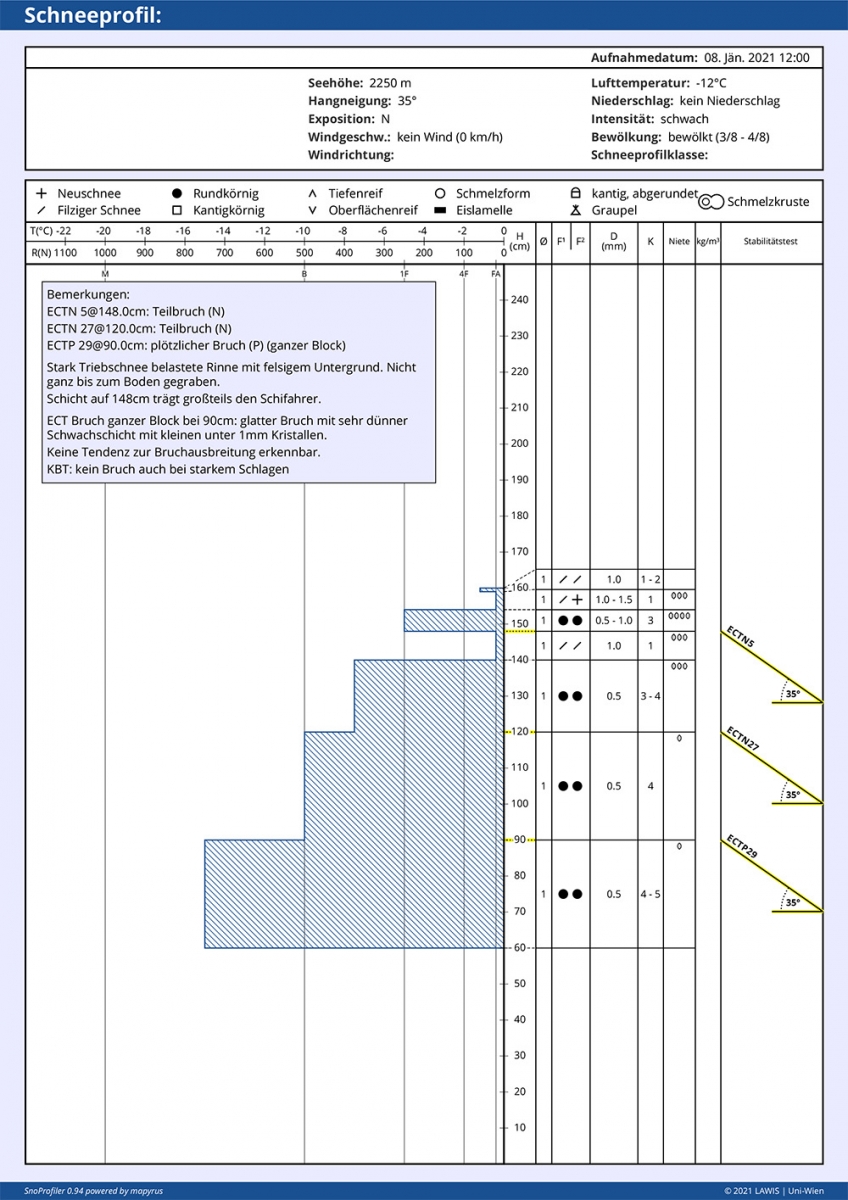 Grafik Schneeprofil