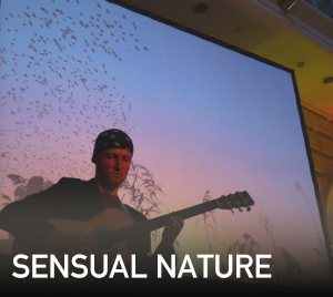 Sensual Nature Life Konzert