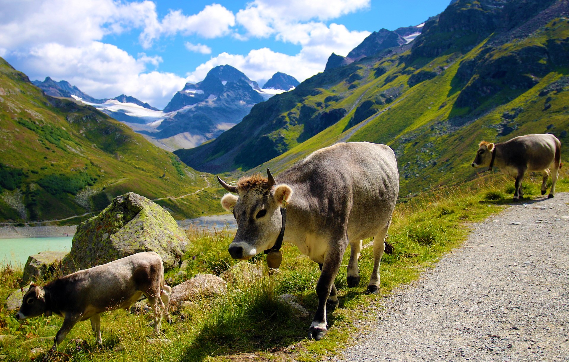 Sommerevent Tirol Berge Österreich Teambuilding