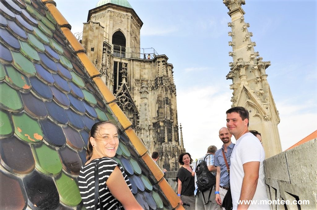 Stephansdom Dachführung