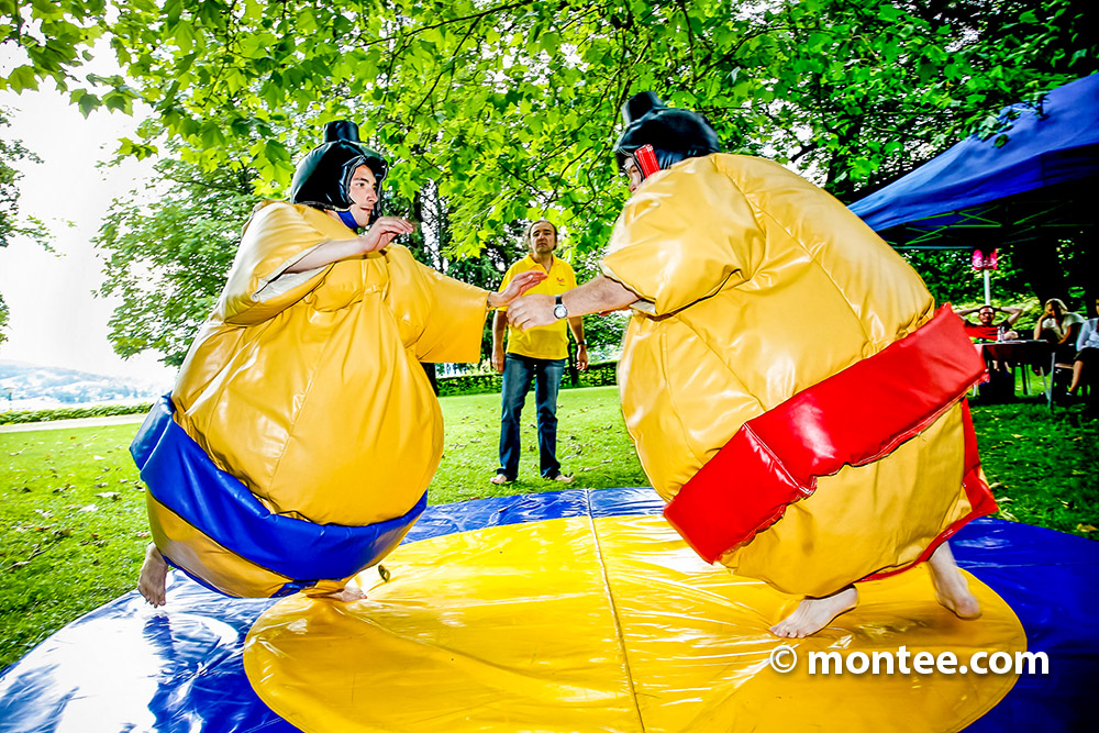 Sumo wrestling corporate event fun event idea outdoor and indoor possible Austria Salzburg
