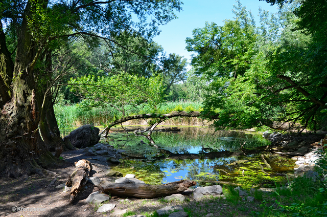 Wien Prater Auen Lehrlingsausflug Location Natur GPS Trophy