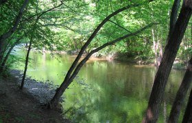 Wienerwald Helenetal Erhollung und Mitarbeiterauslug Montee