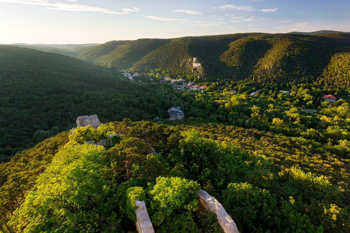  Wienerwald Wandern Outdoor Events und Veranstaltungen Montee