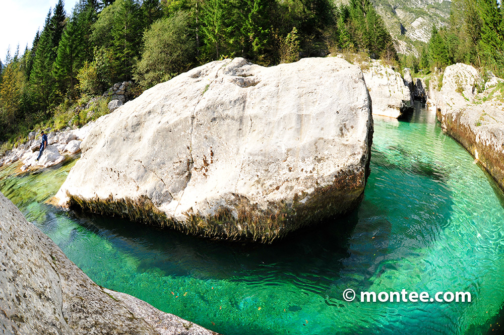 Experience an adventure incentive trip