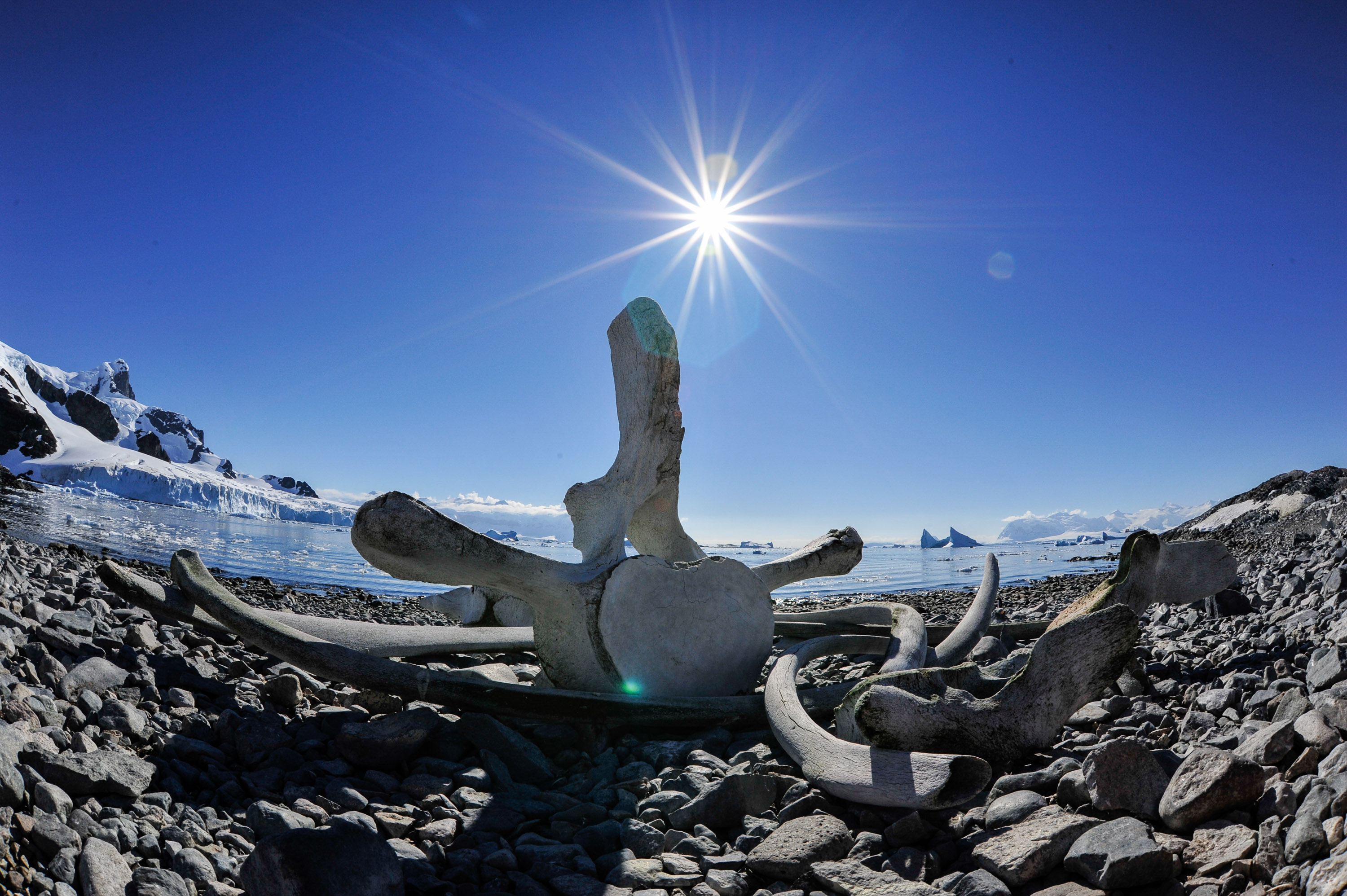 Montee Events und Teambuilding Inspiration