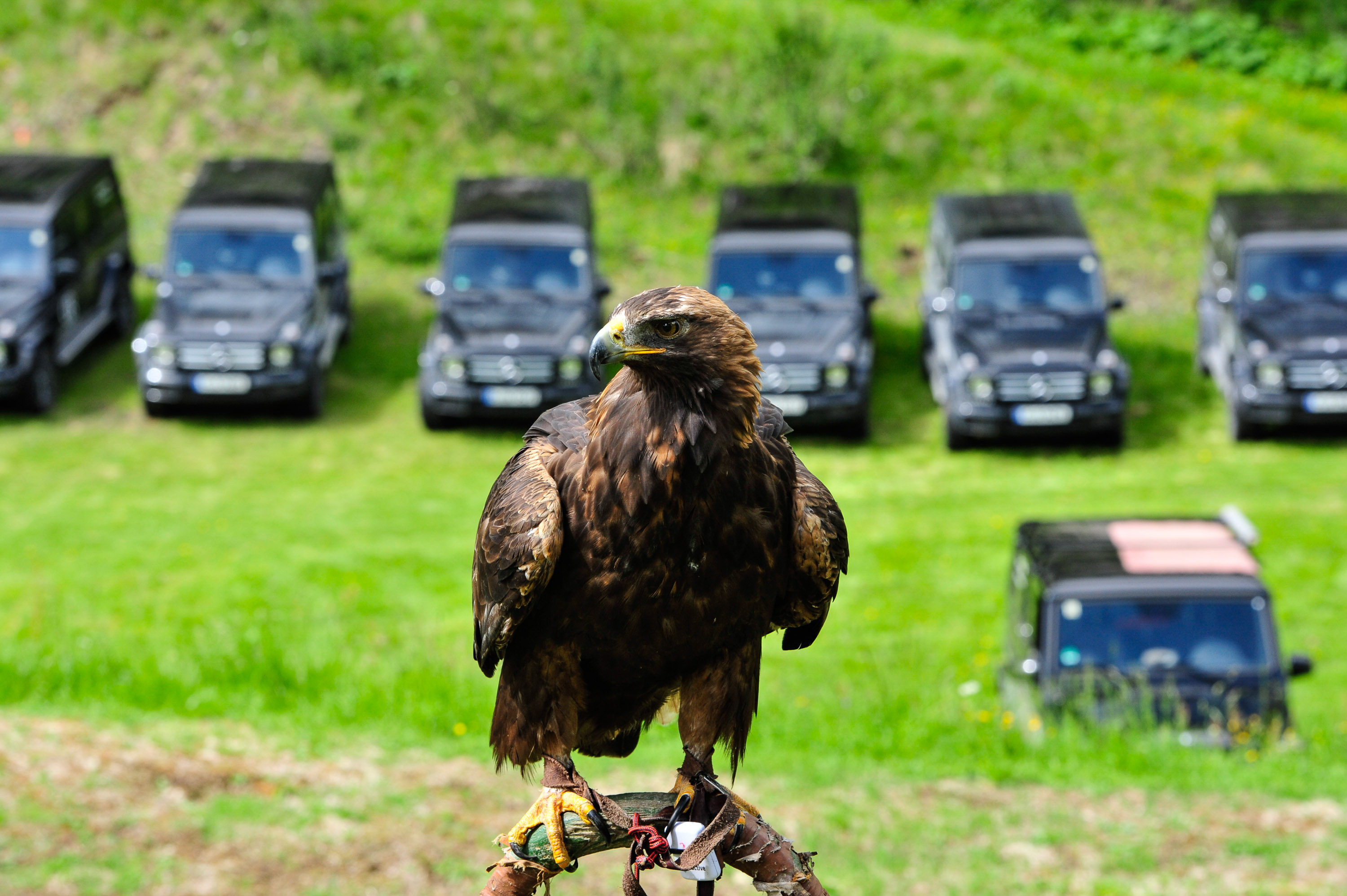 events and teambuildings with Montée, the expert for corporate events