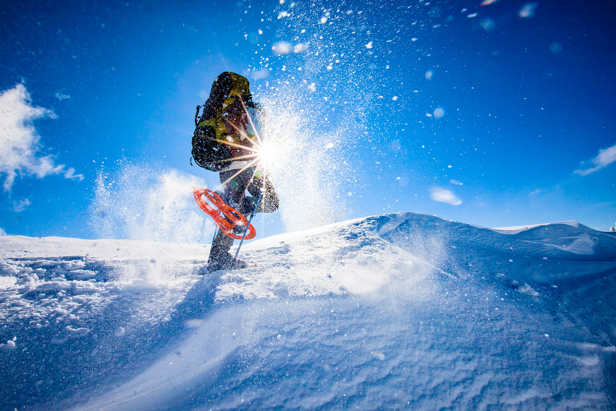  snow-shoe-hike-staff-event-winter-salzkammergut